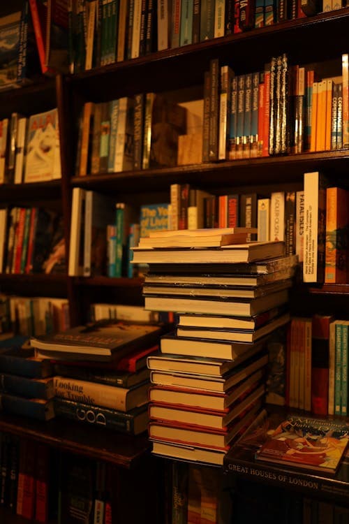 The 10 Best Art Books Every Collector Should Own