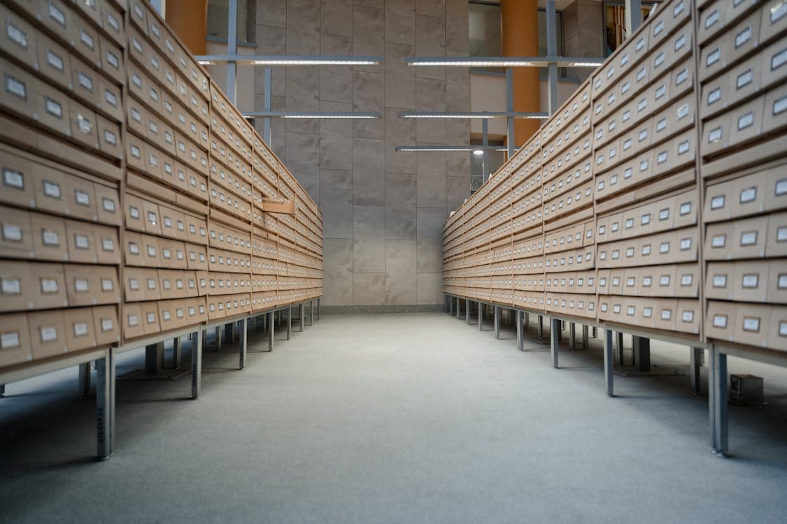 Art Storage Solutions: Protect Your Investment (Complete Guide)