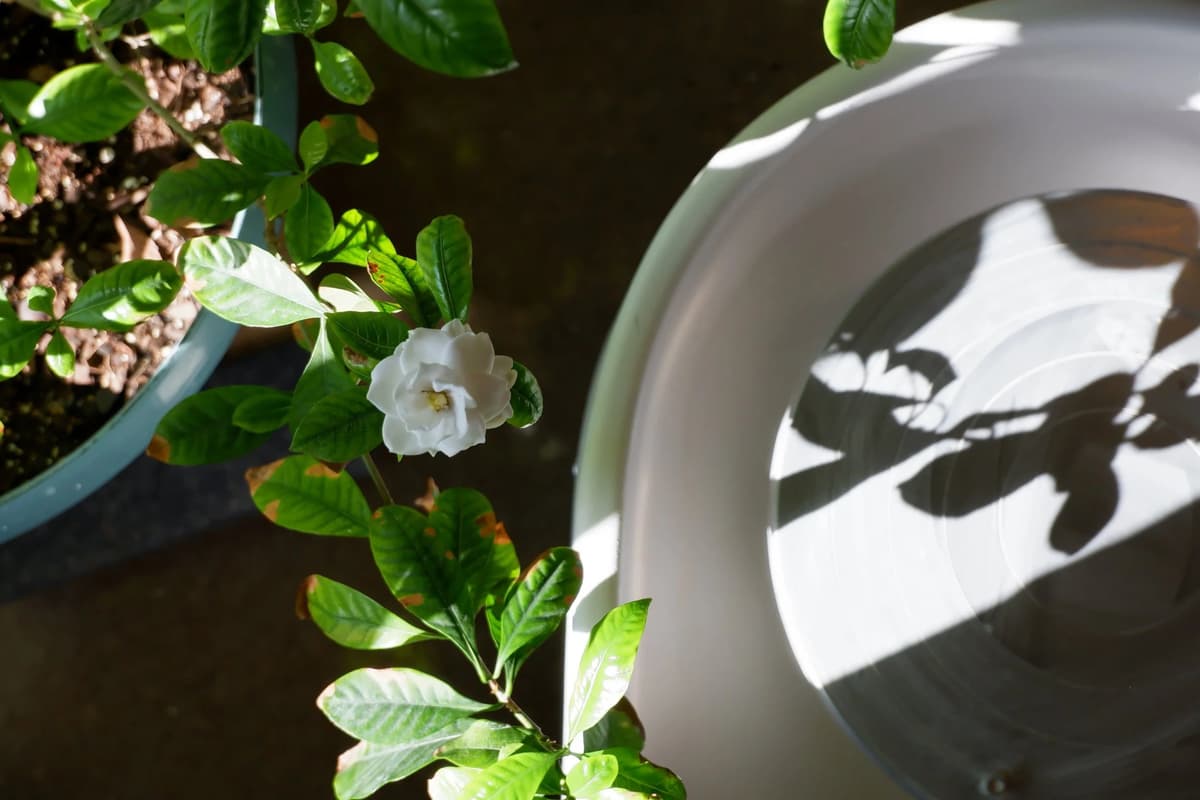 Austin Clay Arts at Canopy by East Austin · Ceramics