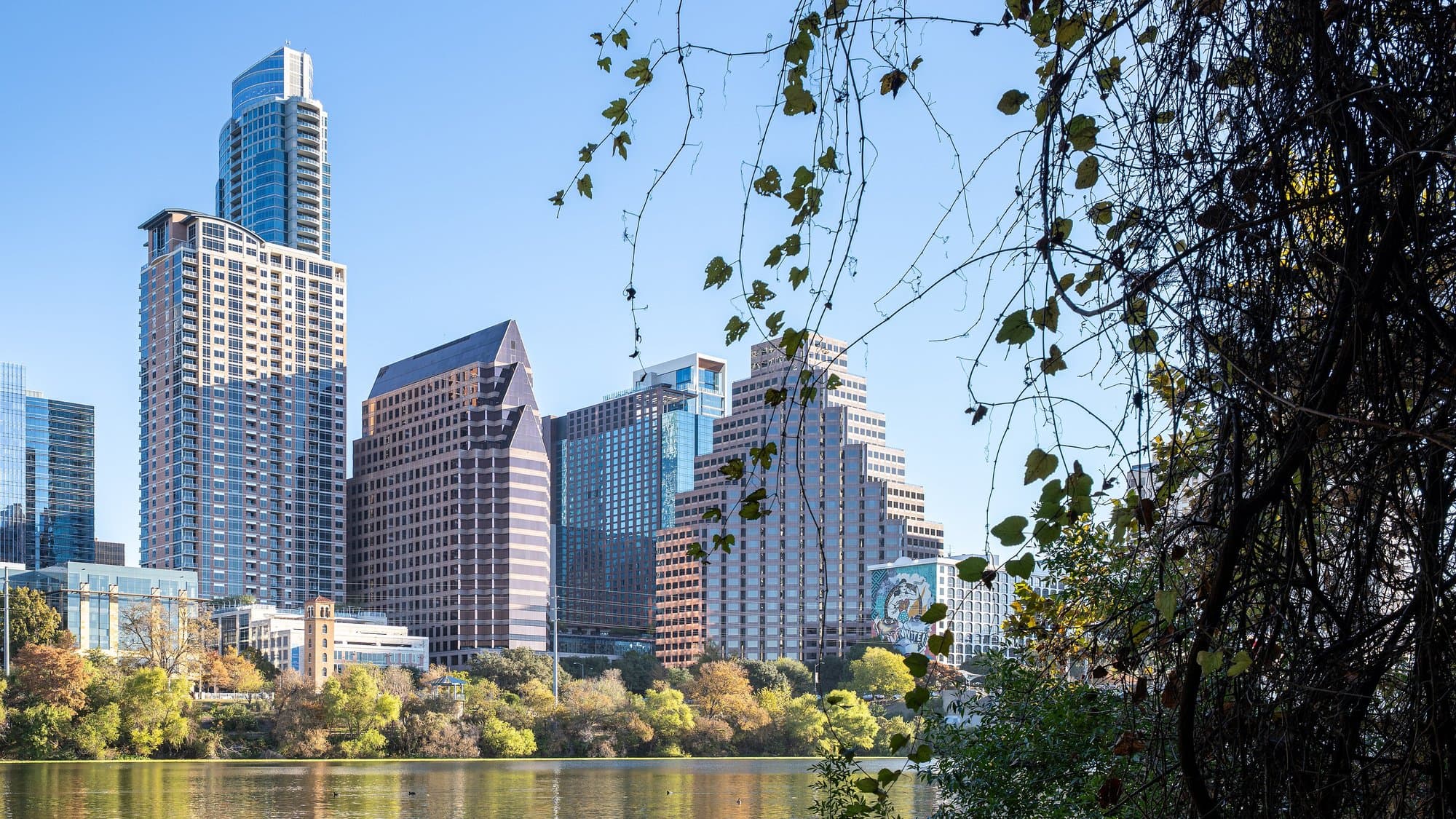 The downtown Austin skyline seen across Lady Bird Lake through tree branches