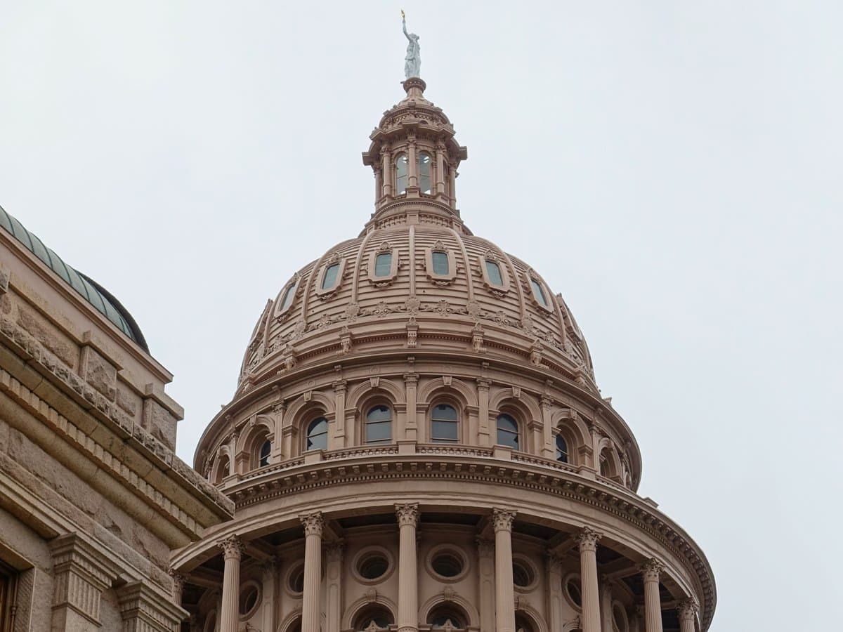 A Field Guide for Texans to the New Wellness Frontier: Cannabis, Psilocybin & Functional Mushrooms in 2026