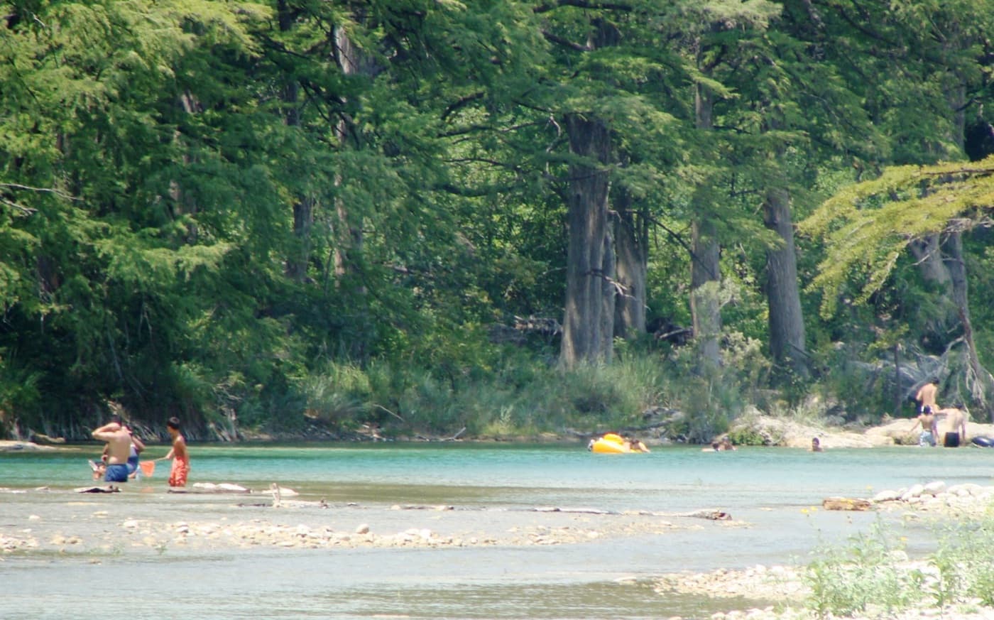 Swimmers and a bright yellow tube in the clear green water of the Frio River beneath tall bald cypress at Garner State Park