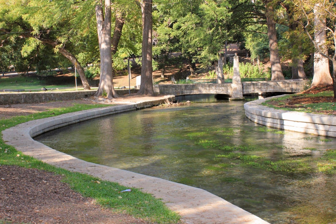Clear, spring-fed water of the Comal River curving between stone banks under bald cypress trees in Landa Park, New Braunfels