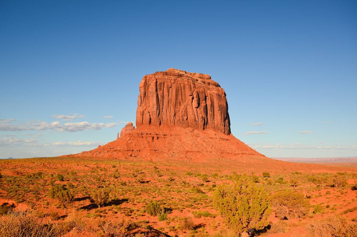 The Complete Guide to Buying Western Art