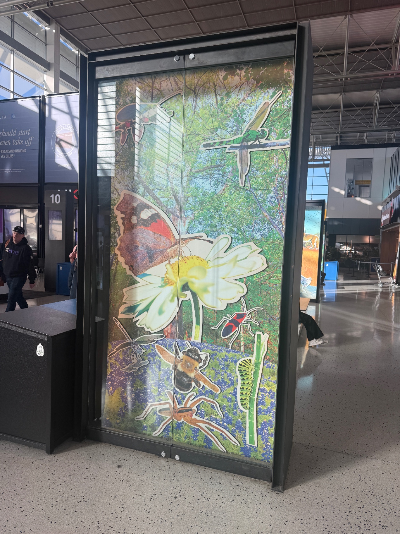 Wildflower art panel at Austin-Bergstrom Airport