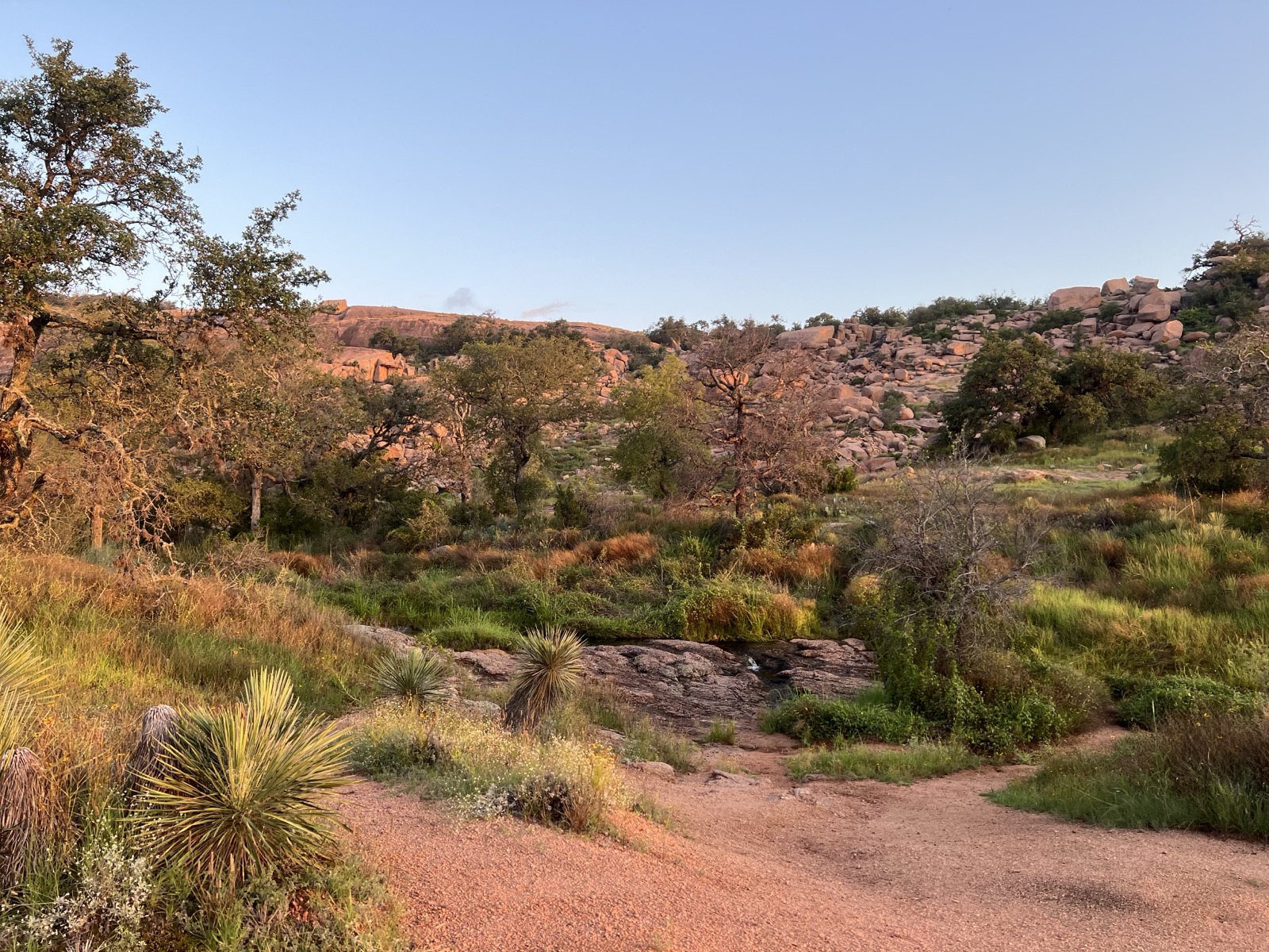 The rocky landscape of Enchanted Rock in the Texas Hill Country west of Austin, the kind of terrain used for Kill Bill's desert exterior scenes