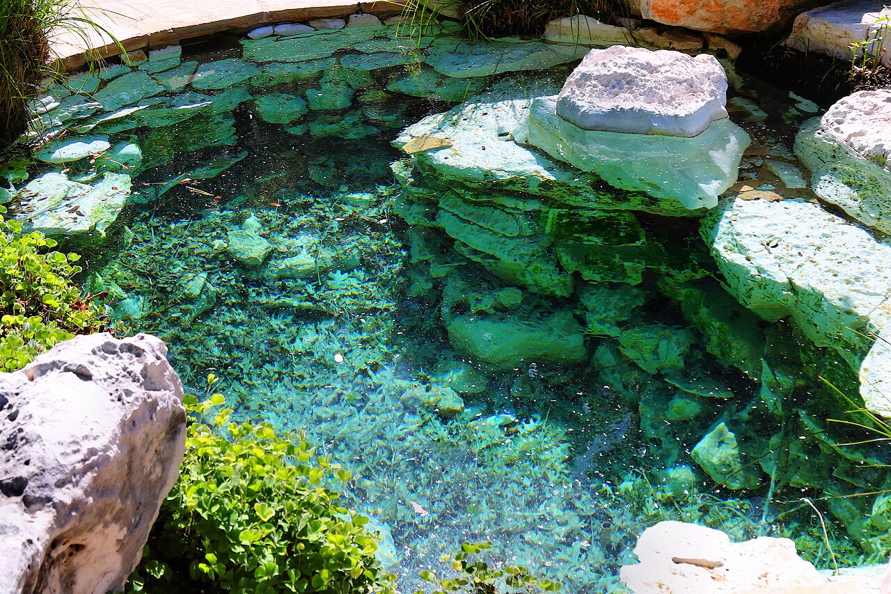 The Courtyard Spring at the Wildflower Center — a simulated Hill Country spring surrounded by native plantings