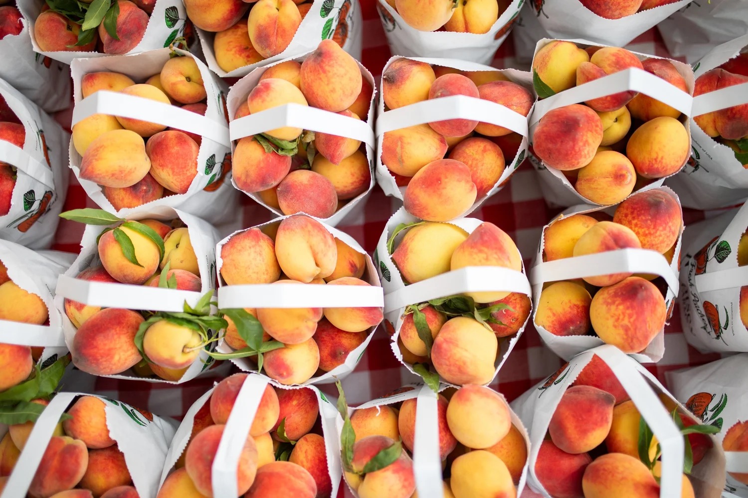 Lightsey Farms peaches at the Texas Farmers' Market — real Texas produce from a real Texas family, sold face-to-face without a middleman cloning your product
