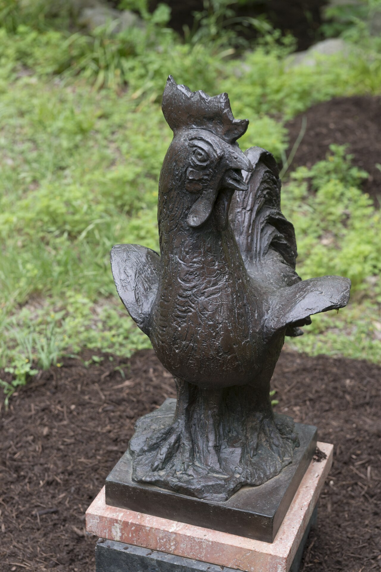 A bronze rooster sculpture at the UMLAUF Sculpture Garden, one of many touchable works visitors can interact with