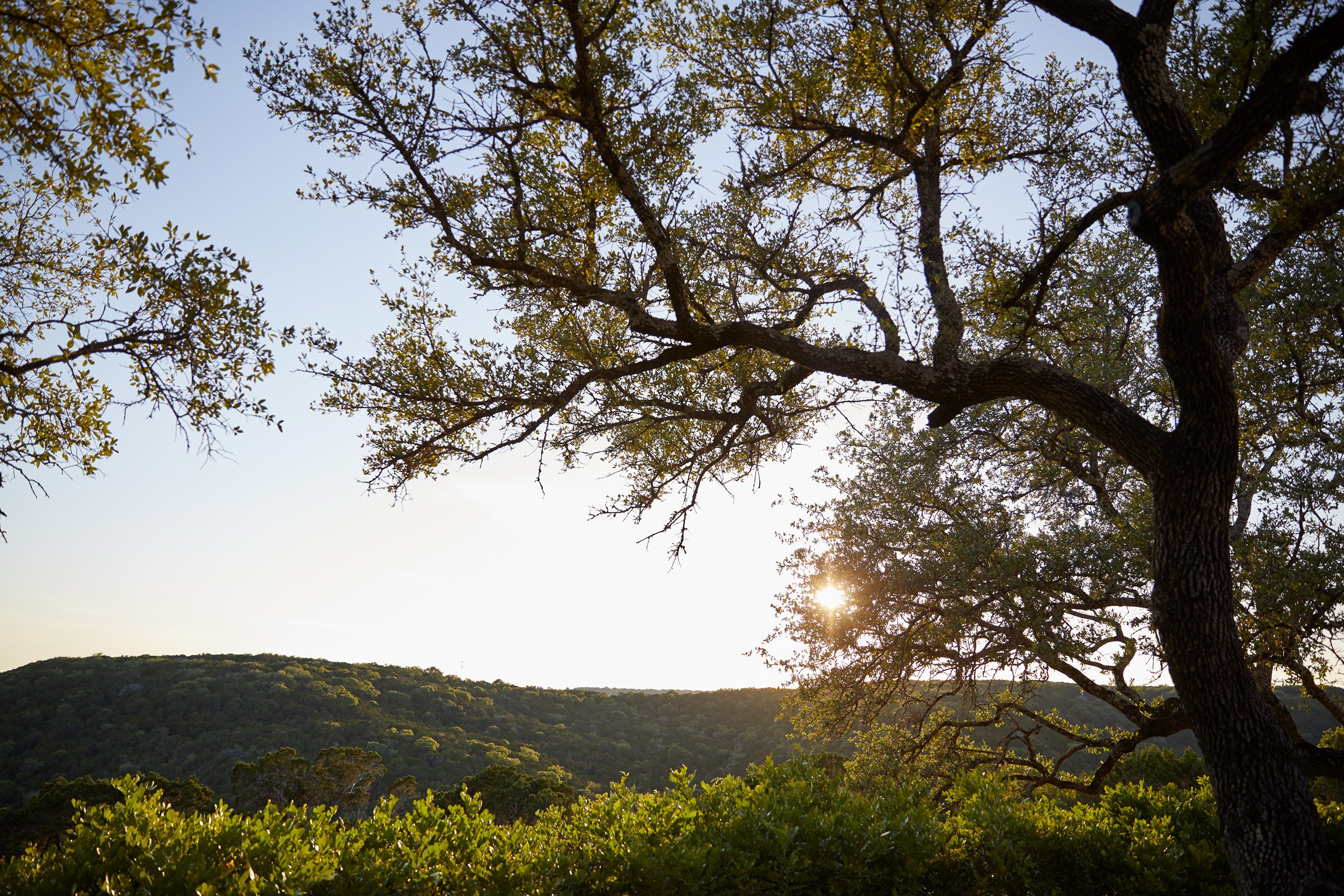 Austin Wellness Retreats & Spas: The Complete Guide