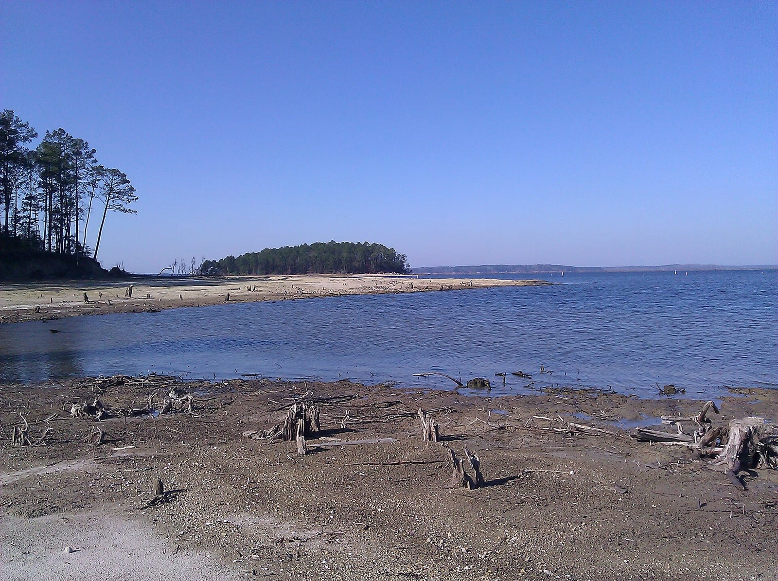 Boat docks reaching into open water on Toledo Bend's mid-lake Texas shore