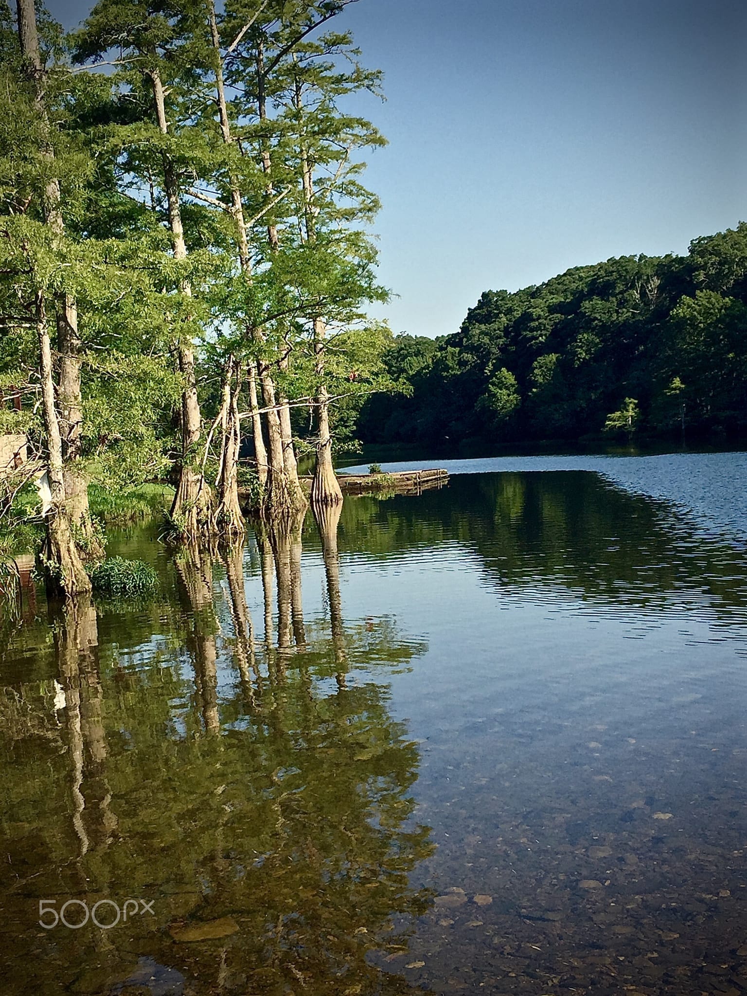 Pine forest and water in the Ouachita mountains near Hochatown, Oklahoma