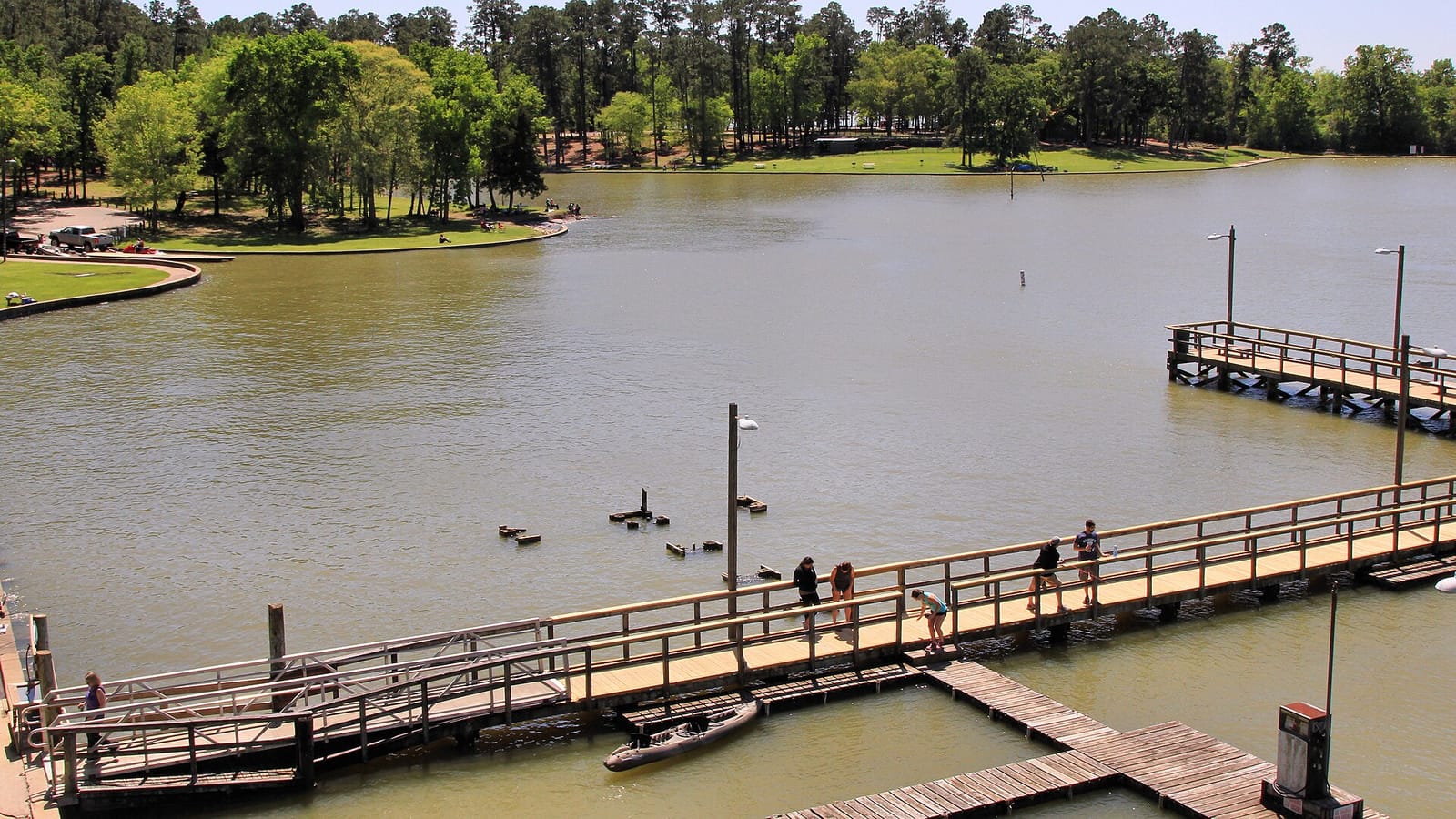 Piney Woods shoreline meeting broad open water on Lake Livingston