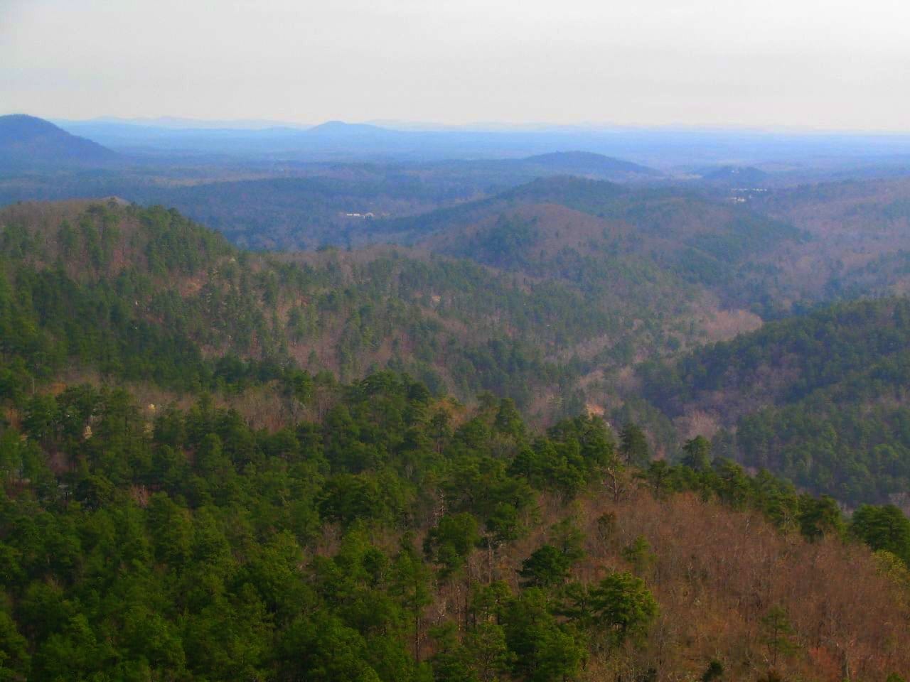 Clear water and national-forest shoreline around a quiet cove on Lake Ouachita