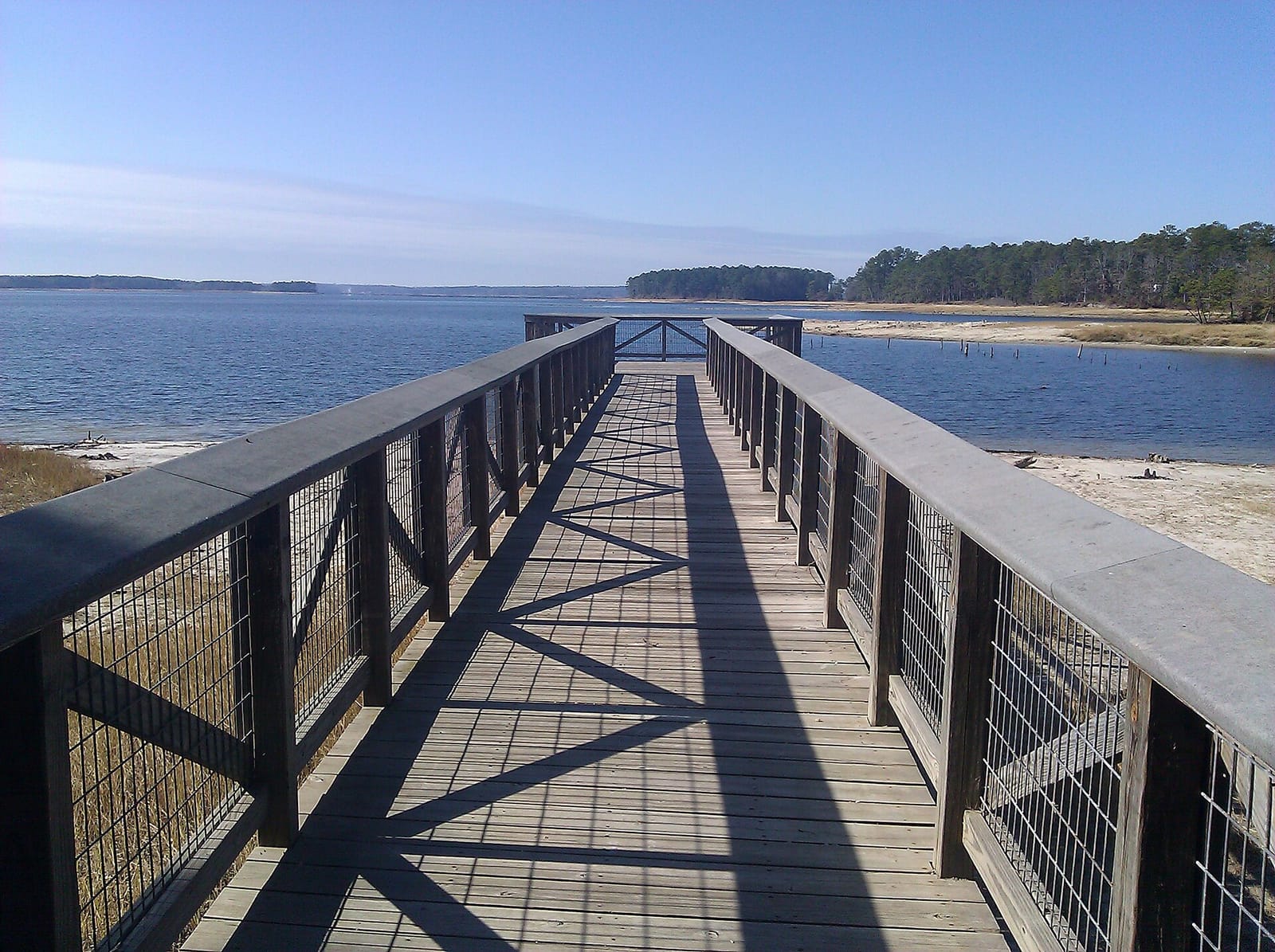 Cypress-edged shoreline and calm coves on the Louisiana side of Toledo Bend