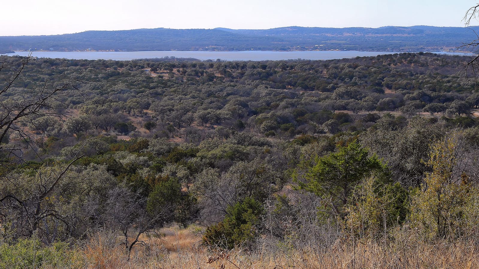A limestone-rimmed swim cove on the north shore of Canyon Lake at midday