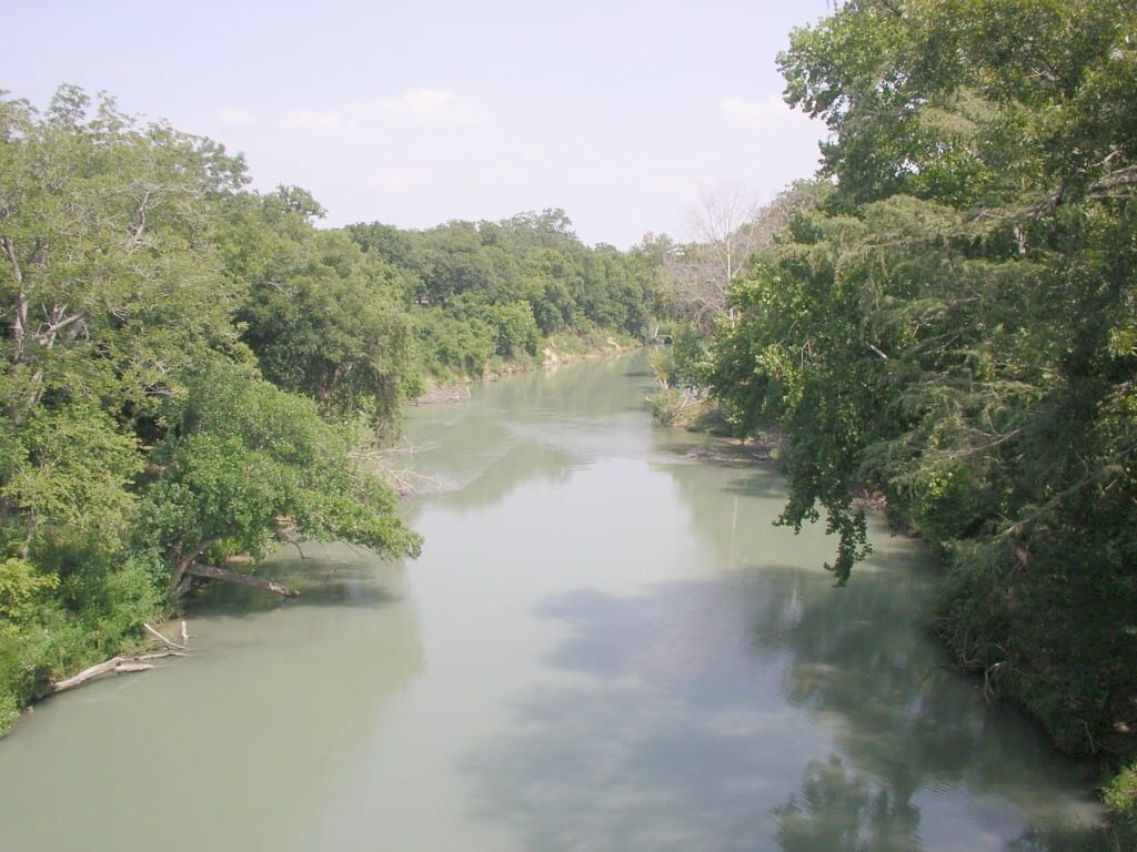 The Guadalupe River flowing beneath bald cypress along the River Road crossings